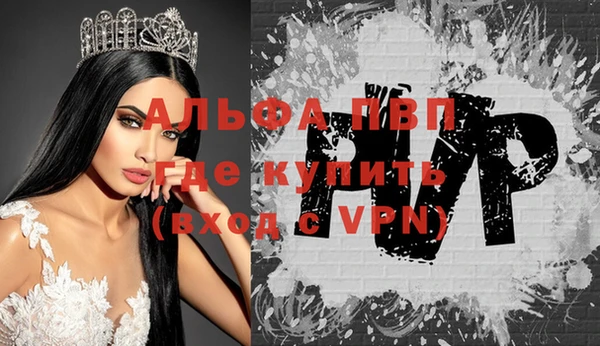 стаф Алексин