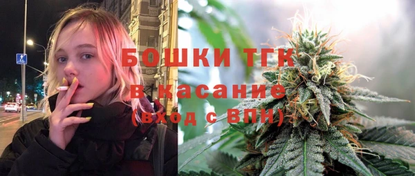 стаф Алексин